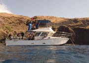 MDII at Coral Gardens